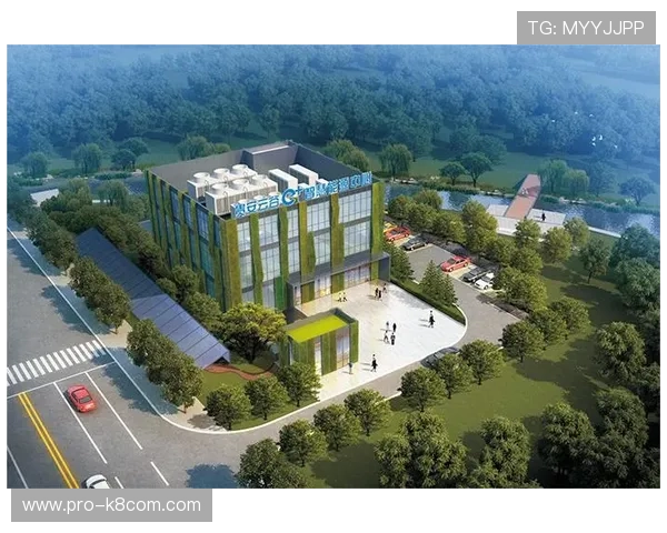 K8亚联娱乐技术支持与安全保障体系,确保游戏环境稳定可靠